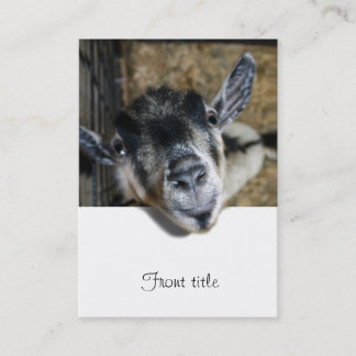 Nosy Goat - Ausblick Visitenkarte