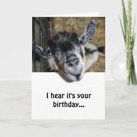 Nosy Goat Looking Up - Geburtstag Karte (Vorderseite)