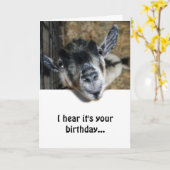 Nosy Goat Looking Up - Geburtstag Karte (Gelbe Blume)