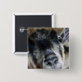 Nosy Goat sucht nach oben Button (Vorne & Hinten)