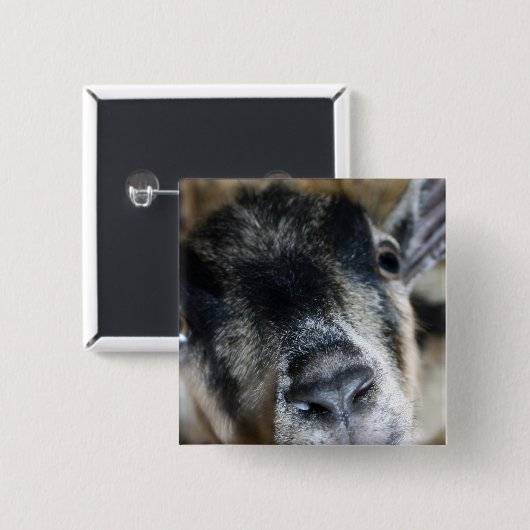 Nosy Goat sucht nach oben Button (Vorne & Hinten)