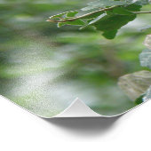 Nosy Gray Eichhörnchen Foto Print (Ecke)