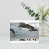 Nosy Gulls Postkarte (Stehend Vorderseite)