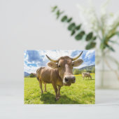 Nosy-Kuh-Weide Postkarte (Stehend Vorderseite)