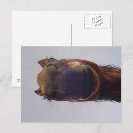 Nosy Postkarte (Vorne/Hinten)