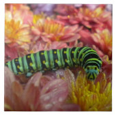 Nosy Raupe Tile Trivet Fliese (Vorderseite)