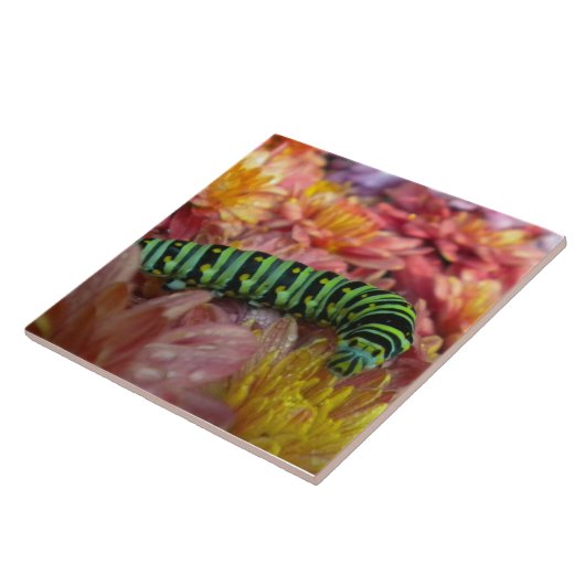 Nosy Raupe Tile Trivet Fliese (Seite)