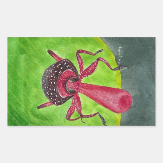 Nosy Rechteckiger Aufkleber (Vorderseite)