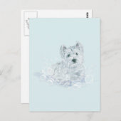 Not Another Postkarte (Vorne/Hinten)