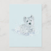 Not Another Postkarte (Vorderseite)