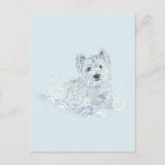 Not Another Postkarte (Vorderseite)