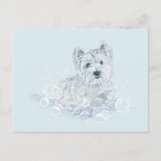 Not Another Postkarte (Vorderseite)