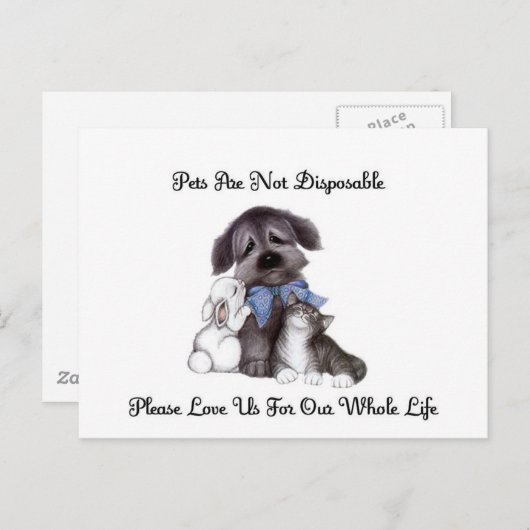 not disposable postkarte (Vorne/Hinten)