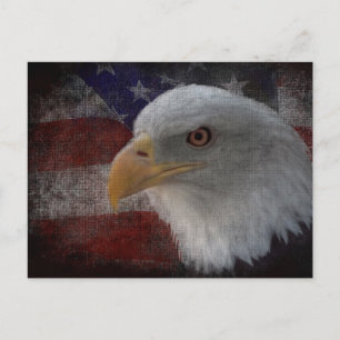 Not leidender Adler und Fahne Postkarte