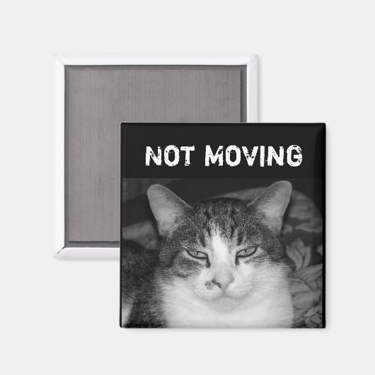 "Not Moving" Crabby Cat Magnet (Vorderseite/Rückseite)