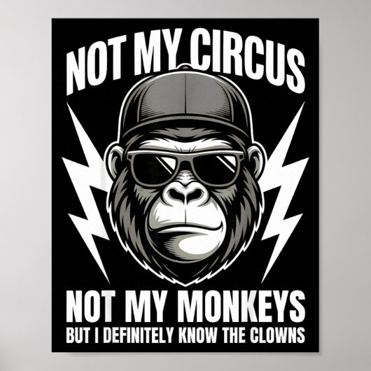 Not My Circus Not My Monkeys But I Definitely Know Poster (Vorne)