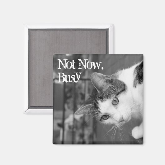 "Not Now, Busy" Magnet (Vorderseite/Rückseite)