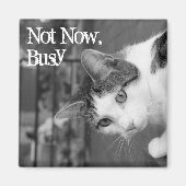 "Not Now, Busy" Magnet (Vorne)