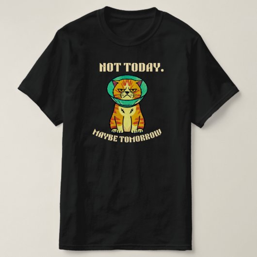 Not Today Maybe Tomorrow Funny Grumpy Cat Design T-Shirt (Design vorne)