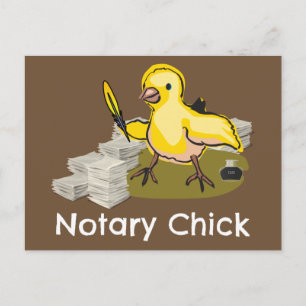 Notary Chick mit Feather Quill und Dokumenten Postkarte