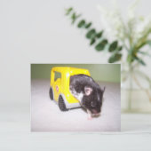 Notausgang Noah Postkarte (Stehend Vorderseite)