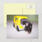 Notausgang Noah Postkarte (Vorne/Hinten)