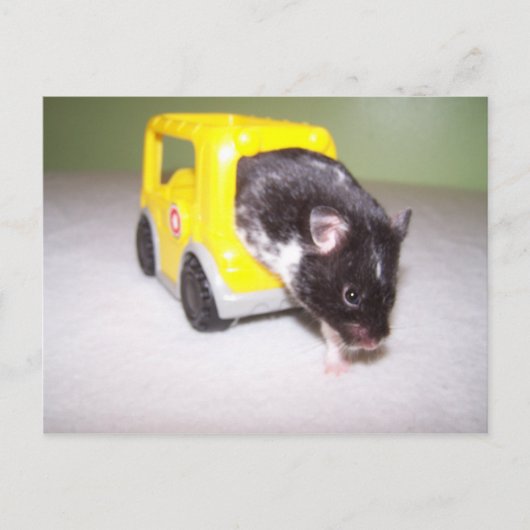 Notausgang Noah Postkarte (Vorderseite)