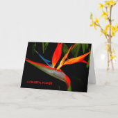 Note Card Colorful Bird of Paradise Karte (Gelbe Blume)