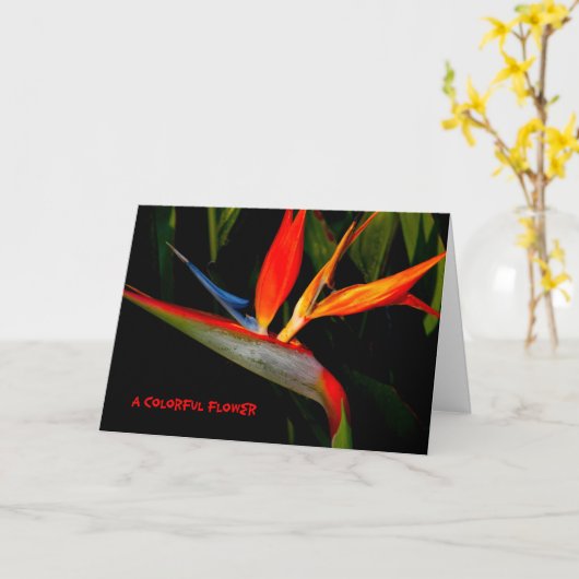 Note Card Colorful Bird of Paradise Karte (Gelbe Blume)
