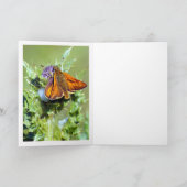 Note Card - Common Blue Male Butterfly - Polyommat Karte (Innenseite)