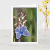Note Card - Common Blue Male Butterfly - Polyommat Karte (Gelbe Blume)