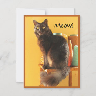 Note Card - Crafty Cat Mitteilungskarte