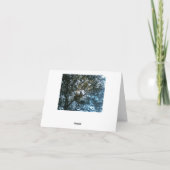 Note Card für Konfliktlösungen Karte (Rückseite)