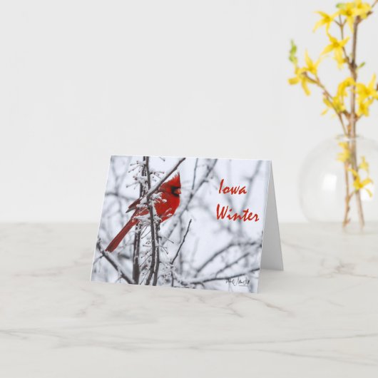Note Card - Iowa Winter Karte (Gelbe Blume)