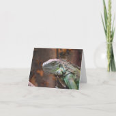 Note Card mit farbiger Iguana-Eidechse Karte (Vorderseite)