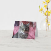 Note Card mit kittendem Foto Karte (Gelbe Blume)