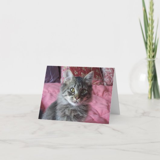 Note Card mit kittendem Foto Karte (Vorderseite)