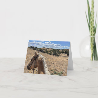 Note Card, Palomino Pferd und Blue Sky