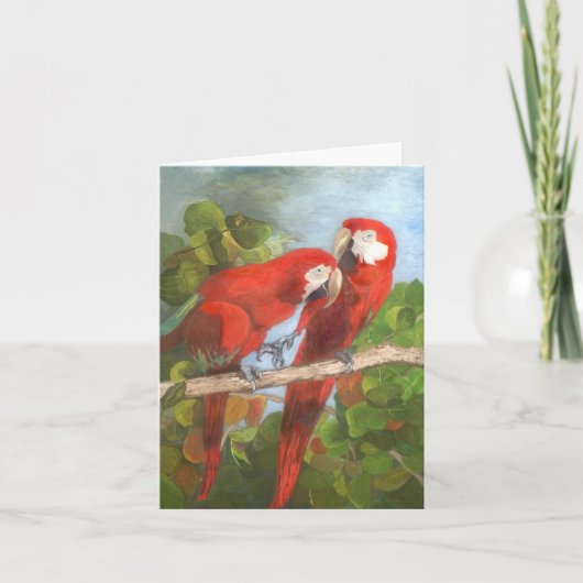 Note Card - Tropische Vögel Karte (Vorderseite)
