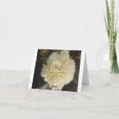 Note Card White Carnation Beauty Karte (Rückseite)