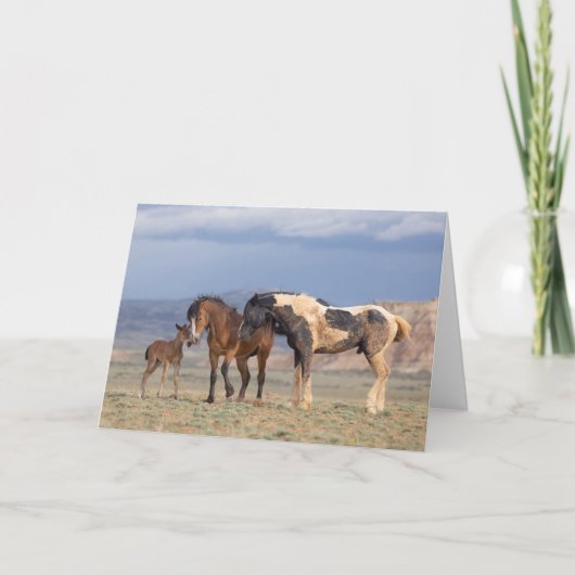 Note Card "Young at Heart" Karte (Vorderseite)