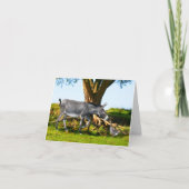 Note Card "Young Eno & Henri" (Vorderseite)