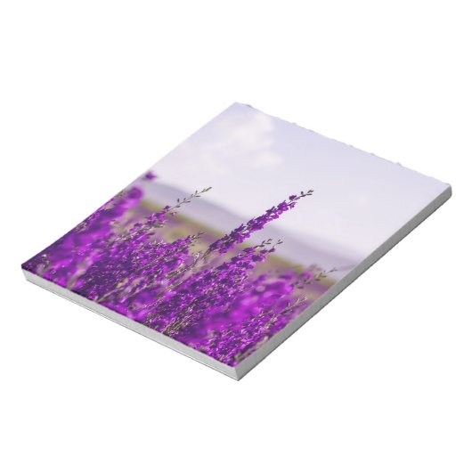 NOTE PAD-STATIONIERUNG FÜR DAS LAVENDER-FELD NOTIZBLOCK (Rotiert)