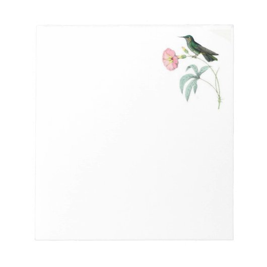 Note Pad with Hummingbirds Notizblock (Vorderseite)