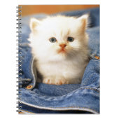 Notebook-Blue Jean Pocket Kitten Notizblock (Vorderseite)