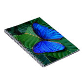 Notebook-Butterfly Notizblock (Rechte Seite)