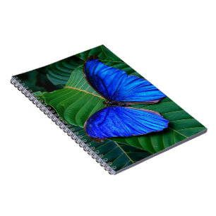 Notebook-Butterfly Notizblock