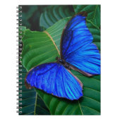 Notebook-Butterfly Notizblock (Vorderseite)