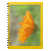 Notebook - Calendula Notizblock (Vorderseite)