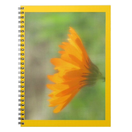 Notebook - Calendula Notizblock (Vorderseite)